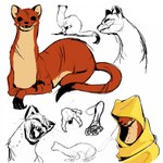 female feral hood hooded looking_at_viewer scar scars_all_over semi-anthro simple_background solo white_background meroko_meyoko mouse_guard zada_(fan_character) mammal mustelid musteline stoat true_musteline weasel 1:1 hi_res