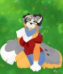 anthro big_breasts blue_bottomwear blue_clothing blue_shorts bottomwear breasts cheek_tuft clothed clothing detailed_background facial_tuft female floppy_ears fluffy fluffy_tail fur grass green_eyes grey_body grey_fur grey_nose hair kerchief long_tail looking_up multicolored_body multicolored_fur neck_tuft on_ground orange_body orange_fur paws perspective plant red_clothing red_shirt red_topwear shadow shirt short_hair shorts slightly_chubby smile snout solo tail teacher topwear tuft white_body white_fur tsukipaw bluey_(series) calypso_(bluey) australian_shepherd canid canine canis domestic_dog herding_dog mammal pastoral_dog sheepdog absurd_res detailed hi_res shaded