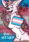 anthro breasts brown_body brown_fur criminal female fur lgbt_pride nude pink_body pink_fur placard pride_color_placard pride_color_sign pride_color_wall pride_colors slim small_breasts solo text transgender_pride_colors wall_(structure) helloawoo barbie_and_ken_mugshot_meme be_gay_do_crimes bella_leggy canid canine canis mammal maned_wolf wolf absurd_res english_text hi_res meme trans_(lore) trans_woman_(lore)