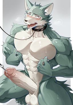 abs anthro anthro_penetrated balls barazoku biceps big_balls big_muscles big_penis blush bodily_fluids border claws collar crouching deltoids dripping drooling erection eyebrows foreskin fur genital_fluids genitals glans grey_background humanoid_genitalia humanoid_penis kemono leash looking_at_viewer male male_penetrated muscular muscular_anthro muscular_male navel nipple_fetish nipple_pinch nipple_play nude obliques pecs penetration penis pinch plug_(sex_toy) precum precum_drip saliva sex_toy simple_background solo submissive submissive_anthro submissive_male sweat teeth thick_arms thick_penis thick_thighs tongue tongue_out tuft unretracted_foreskin urethral urethral_penetration urethral_plug vein white_border chung0_0 beastars legoshi_(beastars) canid canine canis mammal wolf 2025 hi_res