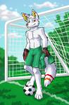 anthro ball biped clothed clothing fur goalkeeper grass handwear jersey looking_at_viewer male orange_eyes orange_nose outside plant sky soccer soccer_ball solo sport standing stripes topless white_body white_fur thekc volskar canid canine canis mammal wolf digital_media_(artwork) hi_res shaded