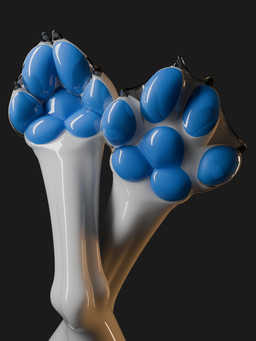 ambiguous_gender blue_paws feet foot_fetish foot_focus latex pawpads paws simple_background translucent translucent_latex xnix 3:4 3d_(artwork) digital_media_(artwork) hi_res