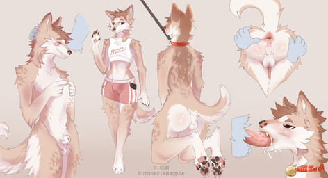 anthro anus athletic_wear backsack balls bell bell_collar bodily_fluids bottomwear bra brown_eyes butt clothing collar cum cum_in_mouth cum_inside dominant fellatio fluffy fluffy_tail footwear fur genital_fluids genitals glistening glistening_body glistening_skin gym_bottomwear gym_shorts leash leashed_collar leashed_male male markings nude oral pawpads penile red_collar sex shoes shorts shy sneakers solo sport sports_bra spots spotted_markings spotted_pawpads sucking tail text underwear drunkmagpie canid canine mammal absurd_res hi_res url