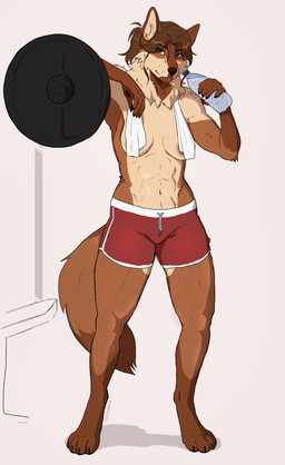5_fingers abs anthro arm_tuft biped bottle boy_shorts breasts brown_body brown_fur brown_hair clothed clothed_anthro clothed_female clothing container countershade_fur countershade_torso countershading digitigrade dipstick_tail elbow_tuft eye_through_hair eyebrow_through_hair eyebrows eyelashes eyelashes_through_hair female female_anthro fingers fur gloves_(marking) hair holding_bottle holding_container holding_object holding_water_bottle leg_markings looking_at_viewer markings muscular muscular_anthro muscular_female neck_tuft paws philtrum pointy_ears prick_ears red_eyes simple_background socks_(marking) solo standing tail tail_markings topless topless_anthro topless_female towel towel_around_neck translucent translucent_hair tuft underwear water_bottle weights white_background fudgebane luttie canid canine canis domestic_dog german_shepherd herding_dog mammal pastoral_dog 2025 absurd_res hi_res