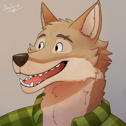 anthro clothed clothing eyebrow_scar eyebrows facial_scar head_tuft male open_mouth pattern_clothing pattern_shirt pattern_topwear plaid plaid_clothing plaid_shirt plaid_topwear pointy_ears prick_ears scar shirt solo teeth tongue topwear tuft adra_(artist) arches_(game) echo_(game) echo_(series) echo_project cameron_wilson canid canine canis coyote mammal 1:1 2024 bust_portrait hi_res portrait