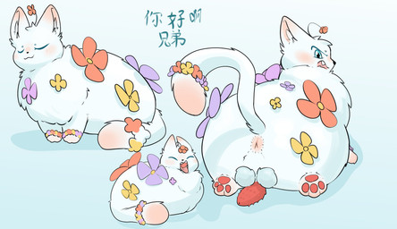 animal_genitalia animal_penis anus balls blue_eyes cat_smile feline_genitalia feline_penis feral flower_garland flower_in_fur flower_on_head fluffly fur genitals loaf looking_back_at_self male male_feral monotone_body monotone_fur multiple_angles open_mouth paws penile_spines penis quadruped rear_view side_view solo text thick_fur white_body white_fur yawn konen fabulous_beasts shanque_(fabulous_beasts) domestic_cat felid feline felis mammal 2026 absurd_res digital_drawing_(artwork) digital_media_(artwork) hi_res shaded soft_shading translated