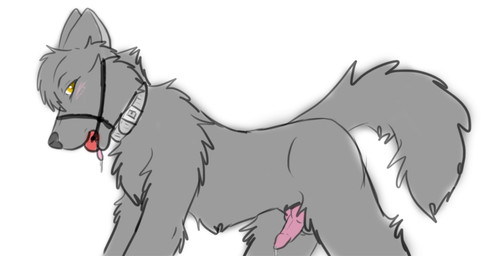 all_fours animal_genitalia animal_penis anthro ball_gag bodily_fluids canine_genitalia canine_penis collar cum ears_back erection fur gag gagged genital_fluids genitals grey_body grey_fur grey_tail halter harness harness_ball_gag harness_gag knot looking_at_viewer male muzzle_(object) muzzled nude penis pivoted_ears side_view simple_background solo tail white_background lunar_epitaph canid canine canis mammal wolf 2011