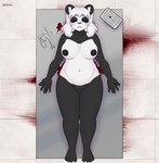 5_fingers anthro areola biped blood bodily_fluids breasts corpse female fingers genitals hair medical_instrument nipples pussy scalpel scientific_instrument solo surgical_instrument white_hair seadewgin bear giant_panda mammal absurd_res hi_res