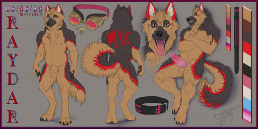 animal_genitalia anthro balls blue_eyes claws collar eyewear fur genitals goggles knot male penis sheath solo standing tail teeth tongue tongue_out shaeliseroth raydar canid canine canis domestic_dog german_shepherd herding_dog mammal pastoral_dog 2:1 absurd_res flat_colors hi_res model_sheet