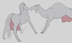 big_teats bodily_fluids drinking_milk duo featureless_crotch female female/female feral feral_on_feral huge_teats huge_udders interspecies lactating looking_at_another milk surprised_expression teats wide_eyed milvusb camel camelid equid equine mammal