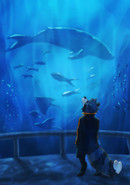 anthro aquarium clothing green_eyes jacket male safety_rail school_of_fish solo topwear vivarium fluff_the_doc victor_(mrmoopne) aquatic baleen_whale cetacean fish mammal manta_ray procyonid raccoon ray_(fish) stingray whale absurd_res hi_res