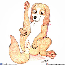 3_toes animal_genitalia animal_vulva anus black_nose brown_body brown_fur canine_genitalia canine_vulva claws feet female feral foot_fetish fur genitals leg_grab legs_in_air legs_up looking_at_viewer patreon_logo patreon_username pawpads paws pink_anus pink_pawpads pink_vulva presenting presenting_vulva smile smiling_at_viewer solo spread_legs spreading text toes vulva yordraw patreon the_queen's_corgi wanda_(the_queen's_corgi) canid canine canis domestic_dog mammal hi_res traditional_media_(artwork) url
