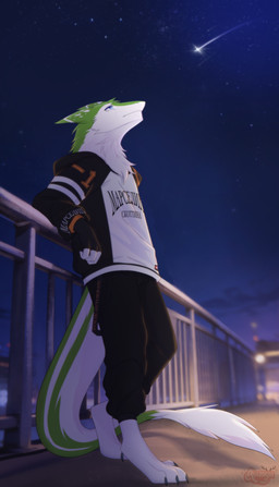 anthro biped blue_eyes bodily_fluids clothed clothing crying fur green_body green_fur hoodie male male_anthro night star tail tears topwear white_body white_fur asusya scottyrson sergal absurd_res hi_res