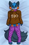 4_toes absurd_res anthro badge blue_body blue_fur brown_clothing brown_hoodie brown_pupils brown_topwear canid canine canis claws clothing constructed_script countershade_ears countershading dakimakura_pose eyebrows feet fin food footwear fruit fur generation_3_pokemon head_tuft hi_res hoodie hybrid inkling_text legwear looking_at_viewer lying male mammal nintendo on_back orange_body orange_eyes orange_gills orange_nose orange_pawpads orange_scales orange_sclera pattern_clothing pattern_legwear pawpads persim_berry persim_scarf pigeon_toed plant pokemon pokemon_(species) pokemon_berry pokemon_mystery_dungeon pupils scales sleeves_past_wrists smile smiling_at_viewer smirk smirking_at_viewer socks solo spike_chunsoft splatoon stormiehills striped_clothing striped_legwear stripes swampert tail tail_fin text thigh_highs toe_claws toeless_footwear toeless_legwear toeless_socks toes topwear tuft wolf xevy