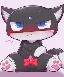 accessory animal_genitalia animal_penis anthro balls biped black_body black_fur blue_eyes blush blush_lines cat_tail fangs feet feline_genitalia feline_penis front_view fur genitals gloves_(marking) half-closed_eyes heart_catchlight hindpaw inner_ear_fluff leg_markings male male_anthro markings mask mask_only multicolored_body multicolored_fur narrowed_eyes nude nude_anthro nude_male paws penile_spines penis penis_accessory penis_bow penis_ribbon plantigrade ribbon_on_penis ribbons shortstack shortstack_male slim slim_anthro slim_male socks_(marking) solo tail tail_markings teeth tuft two_tone_body two_tone_fur white_body white_fur badwingm atlus megami_tensei persona_(series) persona_5 sega morgana_(persona) domestic_cat felid feline felis mammal tuxedo_cat 2023 digital_drawing_(artwork) digital_media_(artwork) hi_res shaded soft_shading
