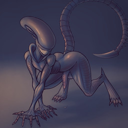 all_fours balls black_body bodily_fluids claws eyeless genital_fluids genitals looking_at_viewer male penis precum presenting smile solo standing tail lordflawn alien_(franchise) alien xenomorph xenomorph_runner 1:1 2025 hi_res