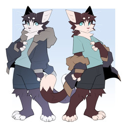 3_fingers 4_toes anthro barefoot blue_clothing blue_eyes blue_jacket blue_shirt blue_t-shirt blue_topwear bottomwear brown_body brown_fur clothed clothed_anthro clothed_male clothing feet fingers fully_clothed fully_clothed_anthro fully_clothed_male fur grey_bottomwear grey_clothing grey_shorts jacket male multiple_poses paws pose shirt shorts solo t-shirt tail toes topwear whiskers white_body white_fur brokesgone milo_(brokesgone) domestic_cat felid feline felis mammal 1:1 2025 digital_drawing_(artwork) digital_media_(artwork) hi_res