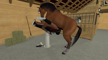 ambiguous_gender anatomically_correct anatomically_correct_genitalia animal_genitalia animal_penis bestiality big_penis breeding_mount brown_body brown_fur duo_focus equine_genitalia equine_penis erection female female_on_feral feral feral_penetrating feral_penetrating_human fur genitals grey_body grey_fur group hay human_on_feral human_penetrated interspecies male male/ambiguous male/female male_on_human penetration penis pitchfork sex stable tools white_body white_fur anonymous_artist equid equine horse human mammal 16:9 3d_(artwork) 3d_animation animated digital_media_(artwork) hi_res no_sound short_playtime video widescreen
