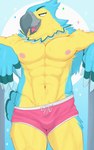 abs anthro beak blue_body blue_feathers clothing feathers looking_at_viewer male muscular muscular_male neck_tuft nipples pecs pose smile smiling_at_viewer solo swimming_trunks swimwear tuft yellow_body yellow_feathers isaacyote_(artist) animal_crossing nintendo keaton_(animal_crossing) accipitrid accipitriform avian bird eagle hi_res pinup