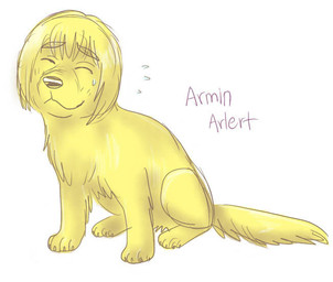 blonde_hair bodily_fluids eyes_closed feral feral_with_hair feralized fluffy fur hair simple_background solo sweat sweatdrop text white_background yellow_body yellow_fur mizzkie attack_on_titan armin_arlert canid canine canis domestic_dog mammal 2014 english_text handwritten_text