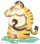 anthro balls belly big_belly blush flaccid genitals kemono male moobs navel nipples overweight overweight_male penis solo 96panda tamacolle hitachi_(tamacolle) felid mammal pantherine tiger 2023 hi_res