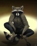 anthro clothed clothing crouching digitigrade fluffy looking_at_viewer male realistic solo spread_legs spreading topless conditional_dnp emptyset reven mammal procyonid raccoon 2016 hi_res