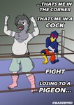 athletic_tape boxers_(clothing) boxing clothing duo feet fighting_ring lyrics male sport talons toes underwear victory badebyrd nintendo star_fox falco_lombardi avian bird columbid galliform phasianid pigeon hi_res