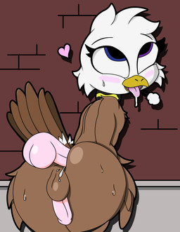 anthro bodily_fluids breed collar cum cum_inside femboy genital_fluids genitals male penis solo gorilladash adlerseven accipitrid accipitriform avian bald_eagle bird eagle sea_eagle absurd_res hi_res