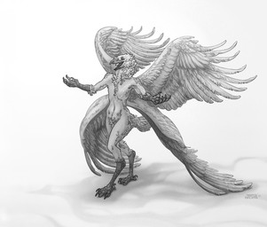4_toes 4_wings 5_fingers ambiguous_gender anisodactyl anthro arm_tuft avian_feet beak cheek_tuft digitigrade facial_tuft feathered_wings feathers featureless_crotch feet fingers grey_beak multi_wing navel neck_tuft nude open_beak open_mouth pose scar shadow simple_background smile solo spread_wings standing tail tail_feathers talons toes tongue tuft white_background wings tertia_decima damien_olivaw avian bat bird corvid corvus_(genus) hybrid mammal oscine passerine raven 2023 absurd_res dated digital_media_(artwork) full-length_portrait greyscale hi_res monochrome portrait signature three-quarter_portrait