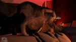 16:9 3d_(artwork) ambiguous_gender animated balls bed bedroom bell canid canine canis christmas digital_media_(artwork) dildo domestic_dog duo feral feral_on_feral from_front_position fur furniture genitals holidays jingle jingle_bell lying male male/ambiguous mammal missionary_position on_back plant realistic_feral sex sex_toy short_playtime sound strapon tree trioami260 webm widescreen wolf year