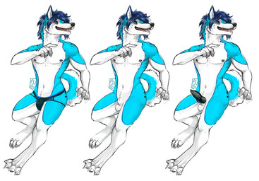 animal_genitalia animal_penis anthro athletic athletic_anthro athletic_male balls black_penis blue_body blue_eyes blue_fur blue_hair canine_genitalia canine_penis clothed clothing curled_tail erection fully_sheathed fur genitals hair knot knotted_penis male male_anthro nipples nude nude_anthro nude_male open_mouth open_smile penis sheath simple_background smile solo tail teeth tongue topless topless_anthro topless_male underwear underwear_only white_background white_body white_fur i-psilone kilian_alexander_barker canid canine canis domestic_dog mammal 2017 multiple_images