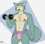 abs anthro bulge clothed clothing dumbbell exercise fur jockstrap jockstrap_only male muscular muscular_male nipples pecs simple_background smile solo tail topless underwear underwear_only weightlifting weights workout delta_dewitt beastars legoshi_(beastars) canid canine canis mammal wolf digital_media_(artwork) hi_res