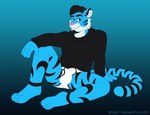 black_hair blue_body blue_fur briefs bulge clothing detailed_bulge fur genital_outline hair hoodie hoodie/briefs_meme looking_at_viewer male paws penis_outline simple_background sitting smile solo teeth topwear underwear sebtheredpanda cobalt_tiger felid mammal pantherine tiger hi_res meme