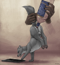 alcohol alcohol_enema anal anal_penetration anus ass_up balls belly belly_expansion beverage big_belly bodily_fluids bottle_in_ass disembodied_hand drooling drunk duo electronics enema erection everclear expansion feral feral_focus genitals humanoid_hands inflation lifted lifted_by_tail looking_at_object looking_at_phone male open_mouth pawpads penetration penis phone saliva simple_background solo_focus substance_intoxication tail tail_anus tail_grab difetra domestic_ferret mammal mustelid musteline true_musteline weasel 2021 digital_media_(artwork) hi_res