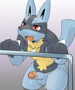 3_fingers anthro balls biped black_body black_fur black_inner_ear black_markings blue_balls blue_body blue_fur blue_penis blue_tail bodily_fluids chest_spike cum cum_drip dripping drooling erection facial_markings fangs fingers foreskin fur genital_fluids genitals glans glistening glistening_eyes gloves_(marking) gradient_background grey_background hand_spike head_markings humanoid_genitalia humanoid_penis leaning leaning_forward male male_anthro markings multicolored_body multicolored_fur multicolored_penis neck_tuft nude nude_anthro nude_male open_mouth partially_retracted_foreskin penis pink_glans pink_penis pointy_ears prick_ears red_eyes saliva simple_background solo spikes spikes_(anatomy) tail teeth tongue tongue_out tuft two_tone_penis white_background yellow_body yellow_fur pu_sukebe nintendo pokemon canid canine generation_4_pokemon lucario mammal pokemon_(species) 2025 digital_drawing_(artwork) digital_media_(artwork) hi_res