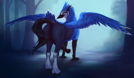 animal_genitalia animal_penis anus balls beak black_balls black_body black_fur black_penis blue_body blue_fur butt equine_genitalia equine_penis erection feral flared_penis fur genitals looking_at_viewer male medial_ring penis presenting presenting_anus presenting_hindquarters solo white_body white_fur by_dream european_mythology greek_mythology mythology avian hippogriff mythological_avian mythological_creature hi_res