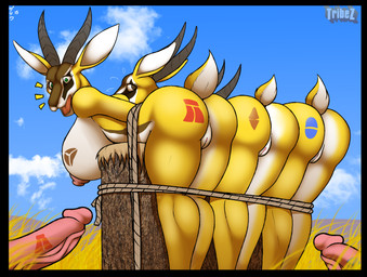 anthro areola bdsm big_breasts big_butt black_border bondage border bound breasts butt captured cobondage erect_nipples erection female genitals group horn imminent_rape imminent_sex male mostly_offscreen_character nipples nude penis rope take_your_pick text vulva conditional_dnp zp92 tribez antelope bovid gazelle mammal 2015 digital_media_(artwork) hi_res