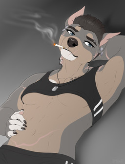 anthro breasts brown_hair cigarette clothed clothing ear_piercing eyebrow_piercing eyebrows eyelashes facial_piercing female gauged_ear hair looking_at_viewer midriff navel piercing scar smoking solo tomboy under_boob smileeeeeee canid canine canis domestic_dog mammal pit_bull 2021 digital_media_(artwork) hi_res