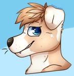 anthro blue_eyes brown_nose fangs floppy_ears fur looking_at_viewer male side_view smug solo speckles teeth white_body white_fur yellow_body yellow_fur puppychomp robinson border_collie canid canine canis collie domestic_dog herding_dog mammal pastoral_dog sheepdog hi_res