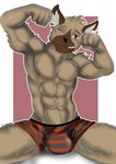 abs anthro biceps big_bulge bulge clothed clothing flexing male muscular muscular_anthro muscular_male one_eye_closed pecs solo topless underwear wink checkhoff aggretsuko sanrio haida_(aggretsuko) hyena mammal spotted_hyena hi_res