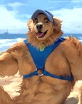 anthro beach clothed clothing fur hat headgear headwear looking_at_viewer male mostly_nude open_mouth seaside skimpy sky solo tongue tongue_out topwear yellow_body yellow_fur dioni5 bird_dog canid canine canis domestic_dog hunting_dog labrador mammal retriever hi_res