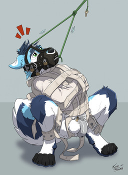 4_toes anthro balls bdsm black_toes blue_body blue_fur blue_hair bondage bound chastity_cage chastity_device crouching ears_back feet frogtied fur genitals green_eyes grey_background hair humanoid_genitalia humanoid_penis key legs_tied lock looking_up male metal_chastity_cage multicolored_body multicolored_fur muzzle_(object) muzzled padlock penis pivoted_ears predicament_bondage restraints rope simple_background solid_chastity_cage straitjacket stuck toes two_tone_body two_tone_fur wearing_chastity_cage wearing_chastity_device white_body white_fur kemira hondo1123 canid canine canis domestic_dog husky mammal nordic_sled_dog spitz 2025 hi_res signature