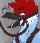 ambiguous_gender anthro bdsm breath half-closed_eyes harness leash narrowed_eyes open_mouth panting solo tongue tongue_out pteri_(artist) pteri_(character) antigone_(genus) avian bird crane_(bird) gruiform sandhill_crane hi_res