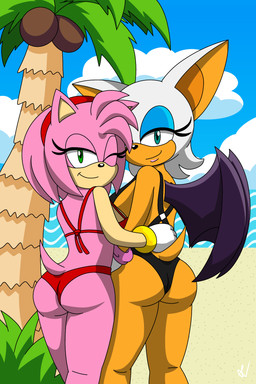 anthro beach bikini butt clothing duo female female/female one_eye_closed sinisterserval swimwear two-piece_swimsuit wink shenvalor sega sonic_the_hedgehog_(series) amy_rose rouge_the_bat bat eulipotyphlan hedgehog mammal 2:3 hi_res
