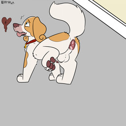 animal_genitalia anus balls bodily_fluids cum cum_in_ass cum_inside feral gaping gaping_anus genital_fluids genitals male raised_leg sheath solo toony yourfur belfort_and_lupin belfort_(belfort_and_lupin) bird_dog brittany_spaniel canid canine canis domestic_dog french_spaniel hunting_dog mammal spaniel 1:1 hi_res