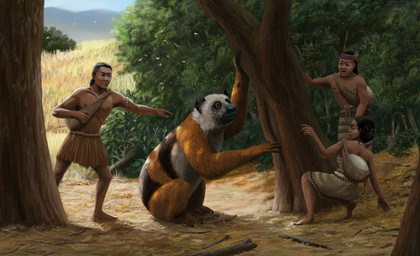 brown_body brown_fur brown_skin clothed clothed_female clothed_human clothed_male clothing female feral fur grass group male multicolored_body multicolored_fur orange_body orange_fur plant tree white_body white_fur paleopete archaeoindris giant_lemur human mammal prehistoric_species 2025 absurd_res digital_media_(artwork) digital_painting_(artwork) hi_res painting_(artwork)