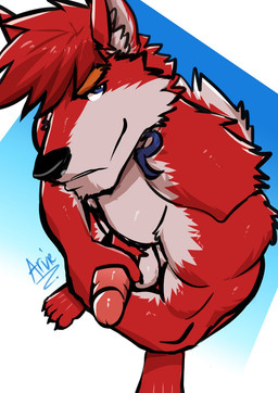 anthro fur looking_at_viewer male manly muscular muscular_male red_body red_fur solo stroking_penis teasing red_arvie canid canine canis mammal wolf hi_res