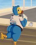 anthro behind_the_counter bottomless butt clothed clothing looking_back male solo otherthatguy animal_crossing nintendo orville_(animal_crossing) avian bird columbid dodo recently_extinct_species 4:5 hi_res