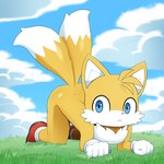 all_fours anthro biped blue_eyes butt clothing cloud detailed_background footwear frown fur gloves grass handwear male plant shoes solo white_body white_fur yellow_body yellow_fur sum sega sonic_the_hedgehog_(series) miles_prower canid canine fox mammal 1:1 hi_res