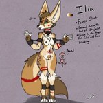 anthro bdsm bondage bound branded collar female genitals pussy scar slave stoneheart text acev ilia_(acev) canid canine fennec_fox fox mammal true_fox 1:1 absurd_res english_text hi_res